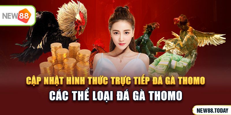 Cập nhật hình thức trực tiếp đá gà thomo